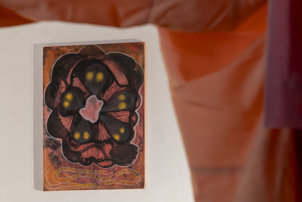 Recognize, not to recognize, recognize / Erkennen, nicht erkennen, erkennen